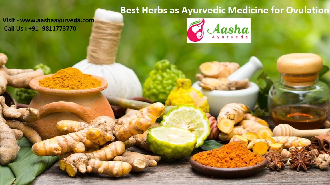 Best Herbs as Ayurvedic Medicine for Ovulation