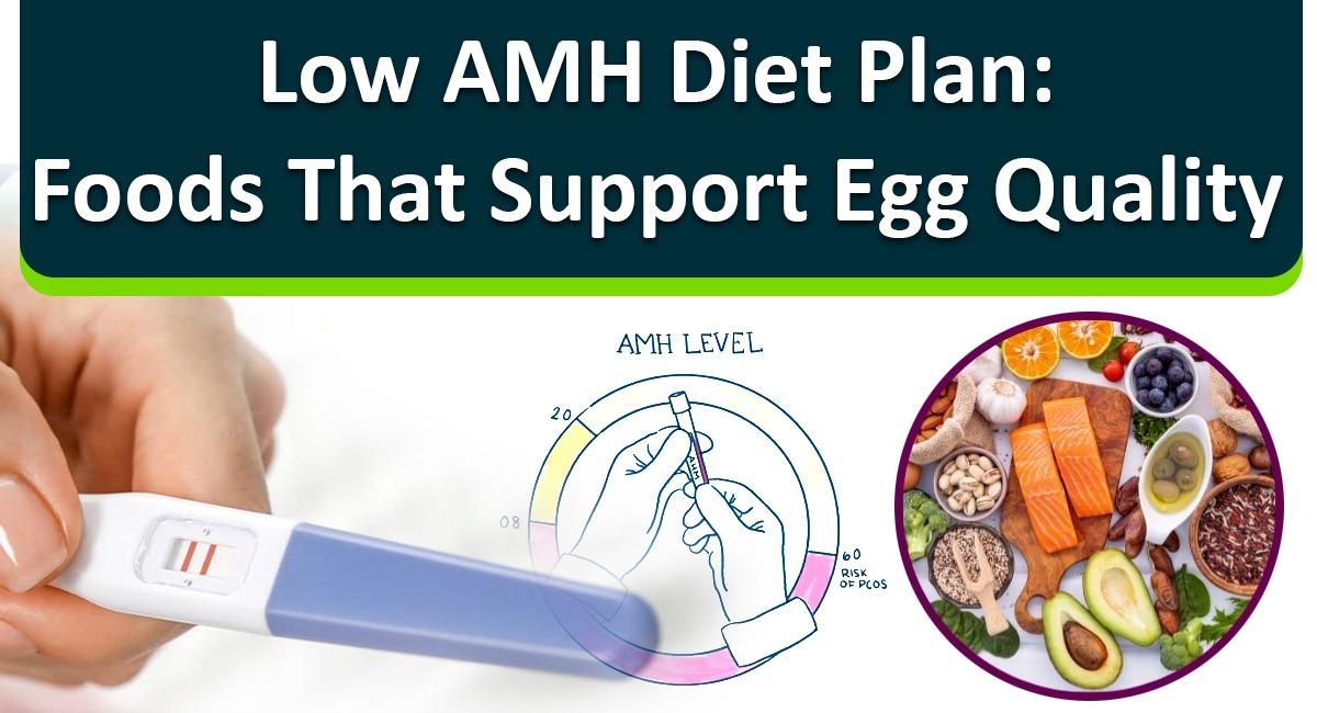 Low AMH Diet Plan: Foods That Support Egg Quality