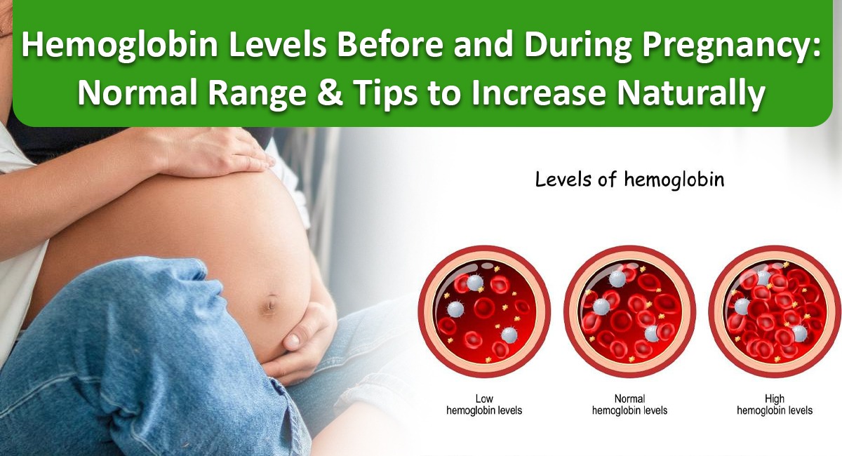 Hemoglobin Levels Before and During Pregnancy: Normal Range & Tips to Increase Naturally